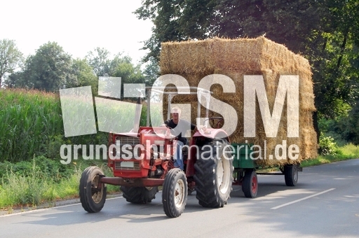 Traktor mit Strohanhänger_2.JPG